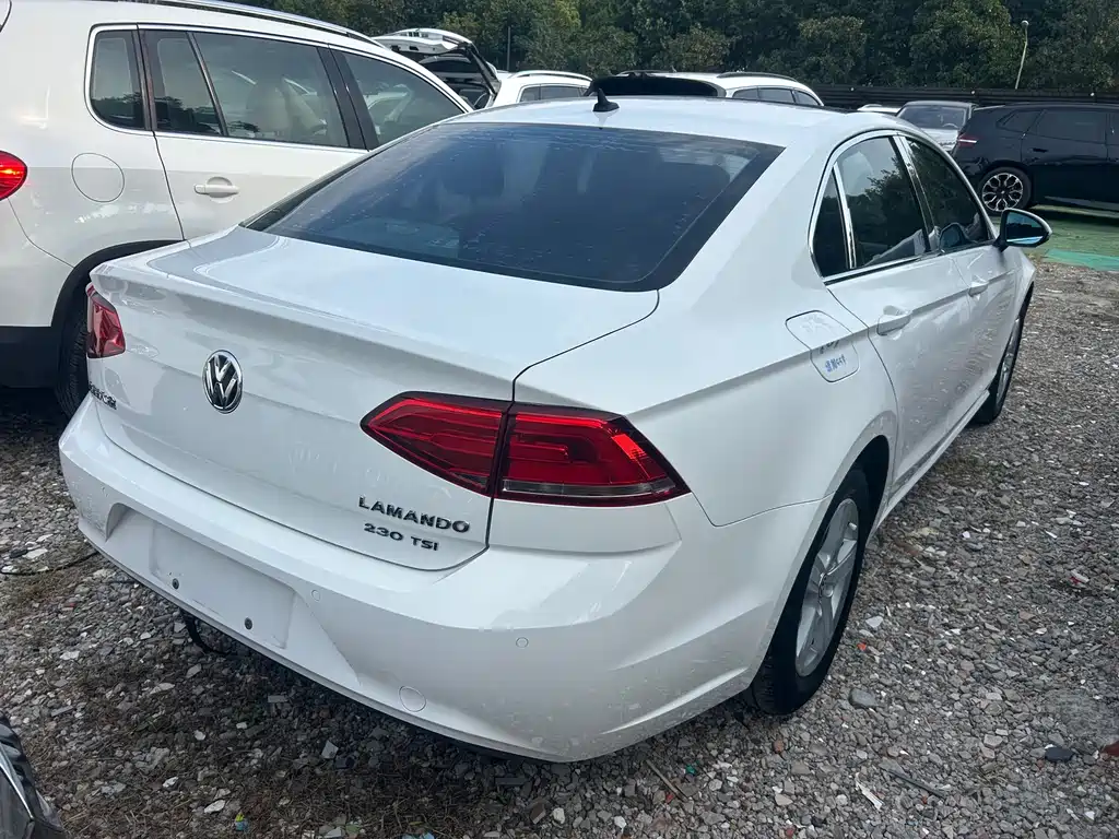 Volkswagen Lamando — миниатюра 4