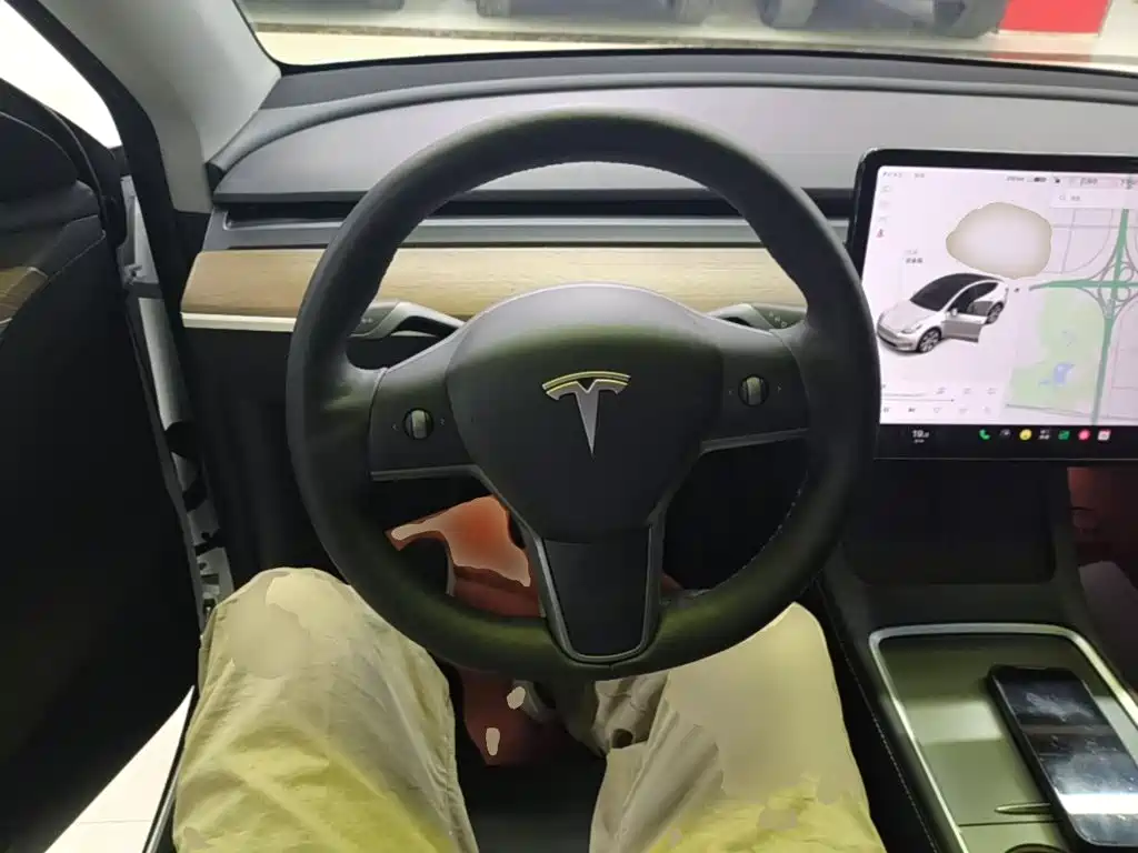 Tesla Model Y — фотографии объявления, Фото 8