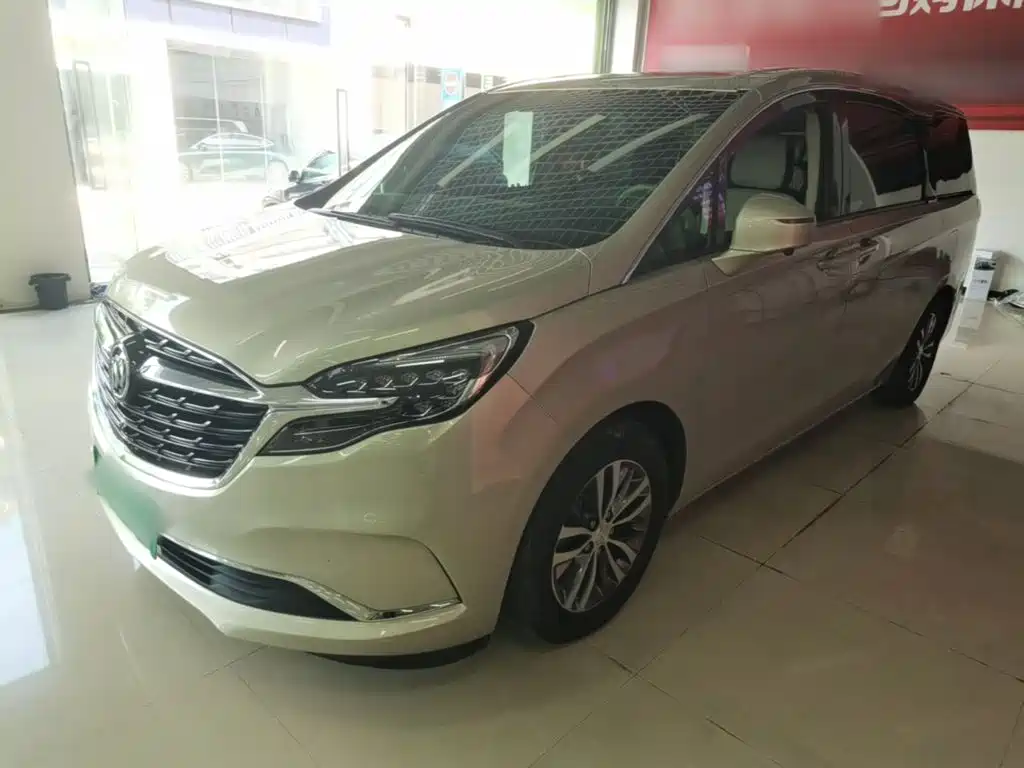 Buick GL8 — миниатюра 2