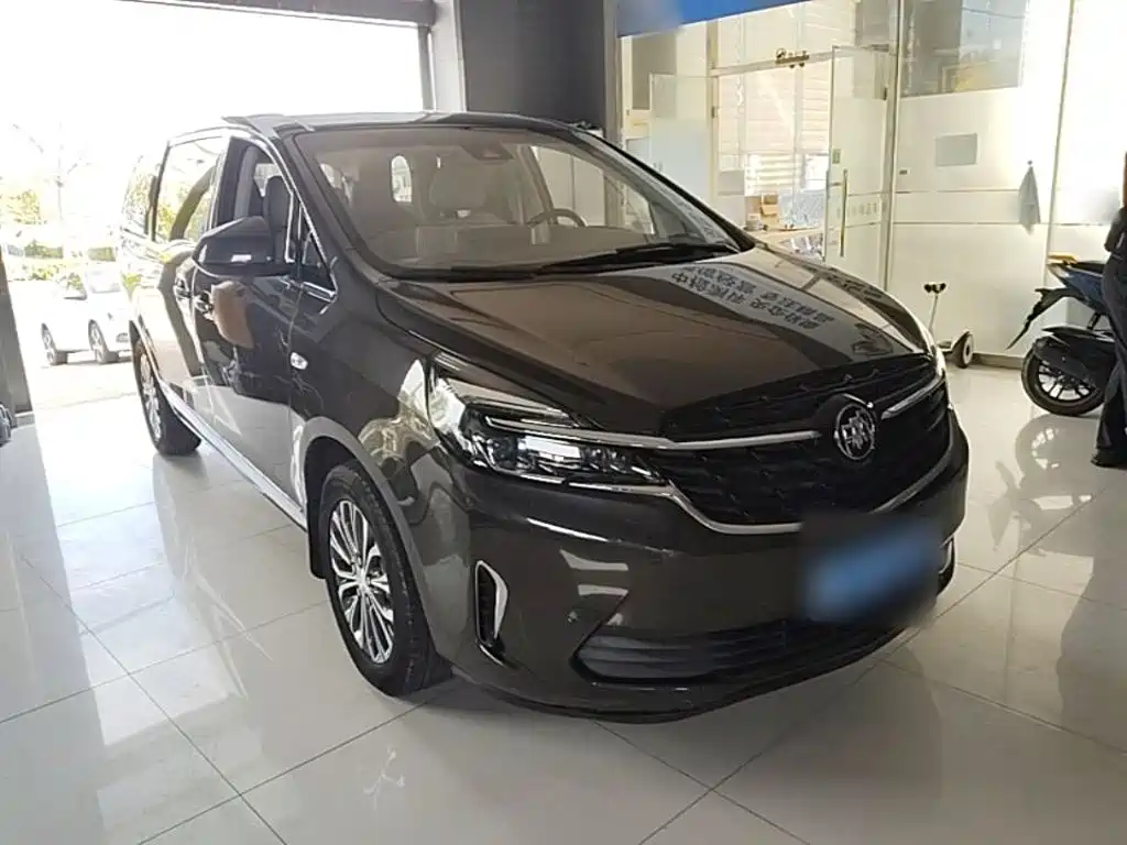 Buick GL8 — миниатюра 4