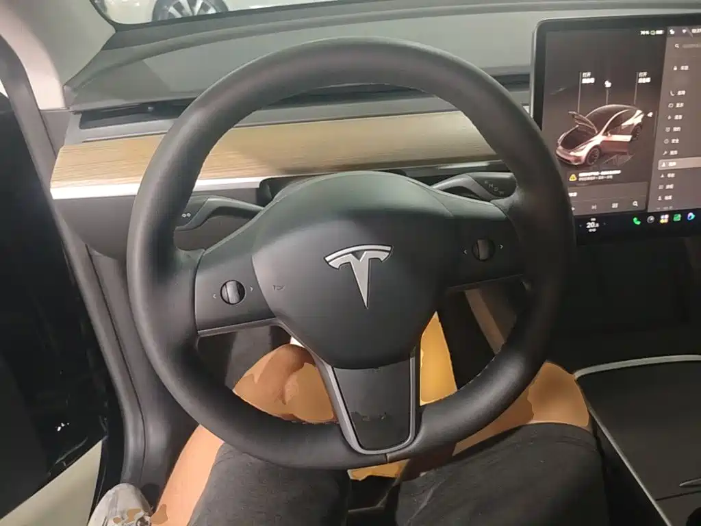 Tesla Model Y — миниатюра 11