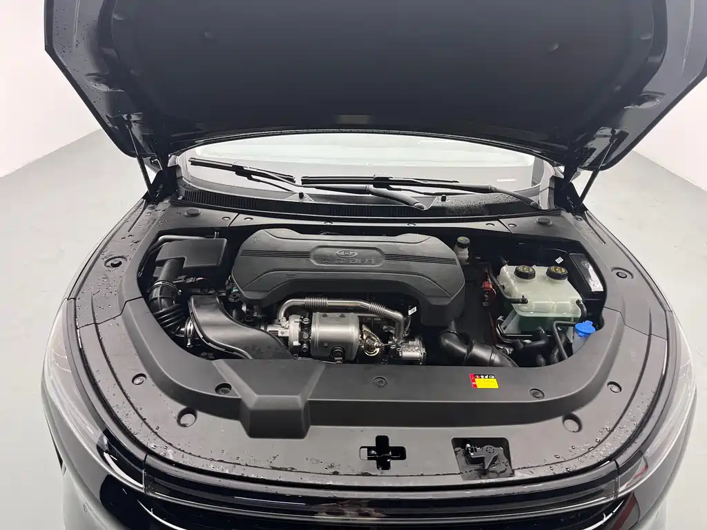 Baojun Xiangjing 2025 140km Luxury
