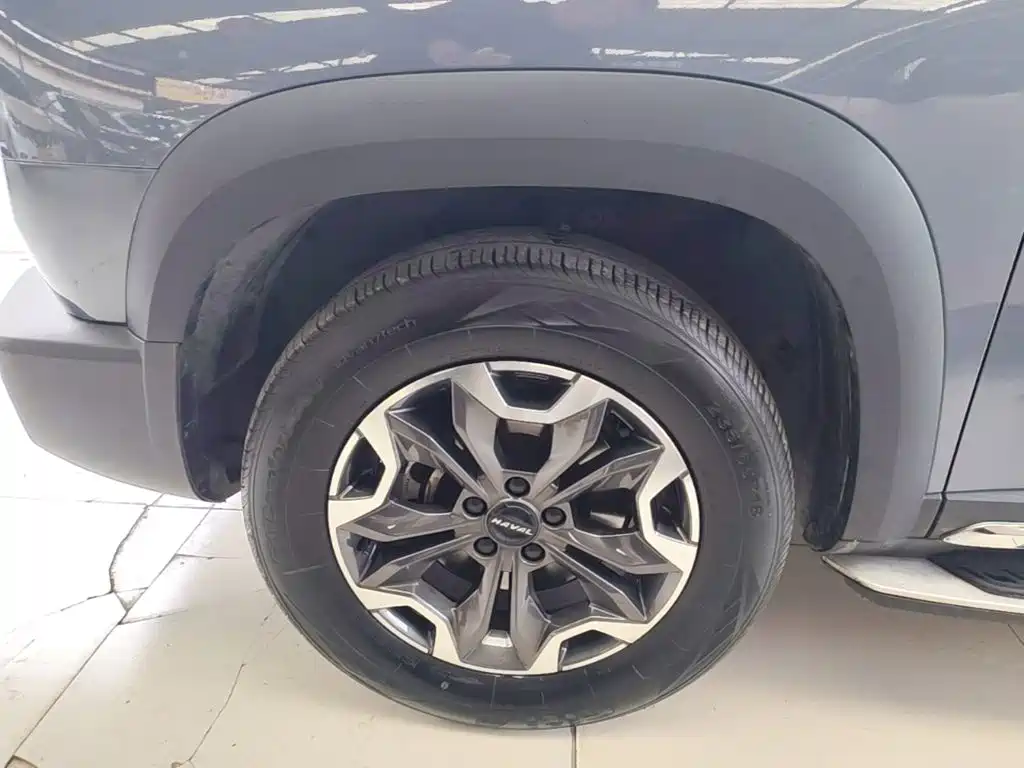 Haval Big Dog — миниатюра 23