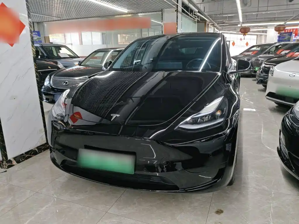 Tesla Model Y — миниатюра 2