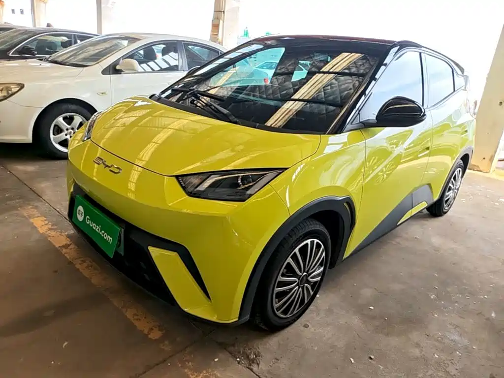 BYD Seagull