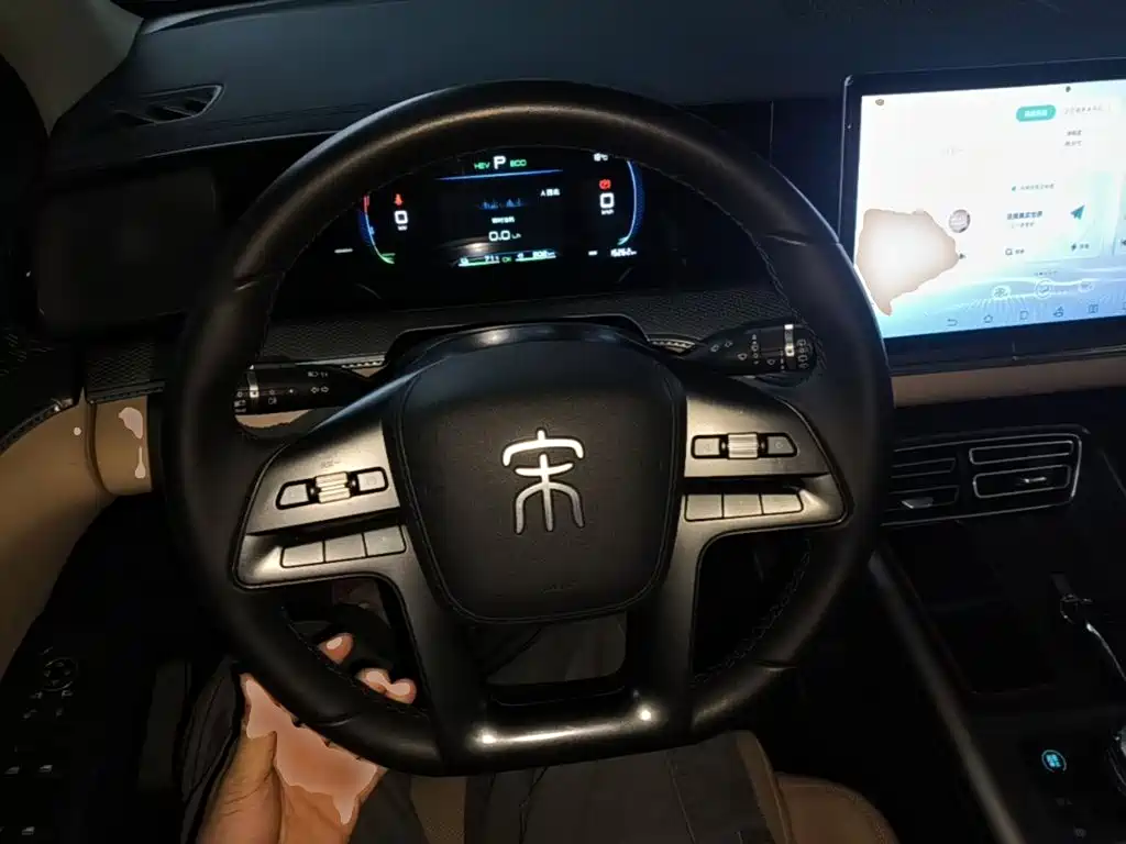 BYD Pro New Energy — миниатюра 11
