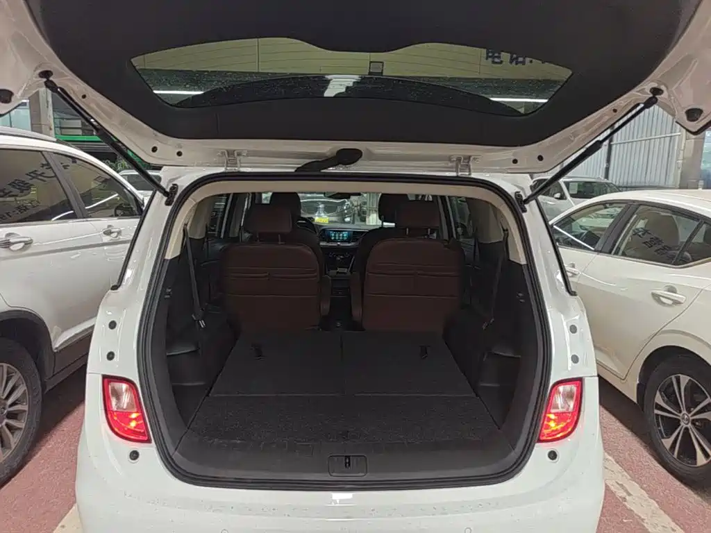 Buick GL6 — миниатюра 19