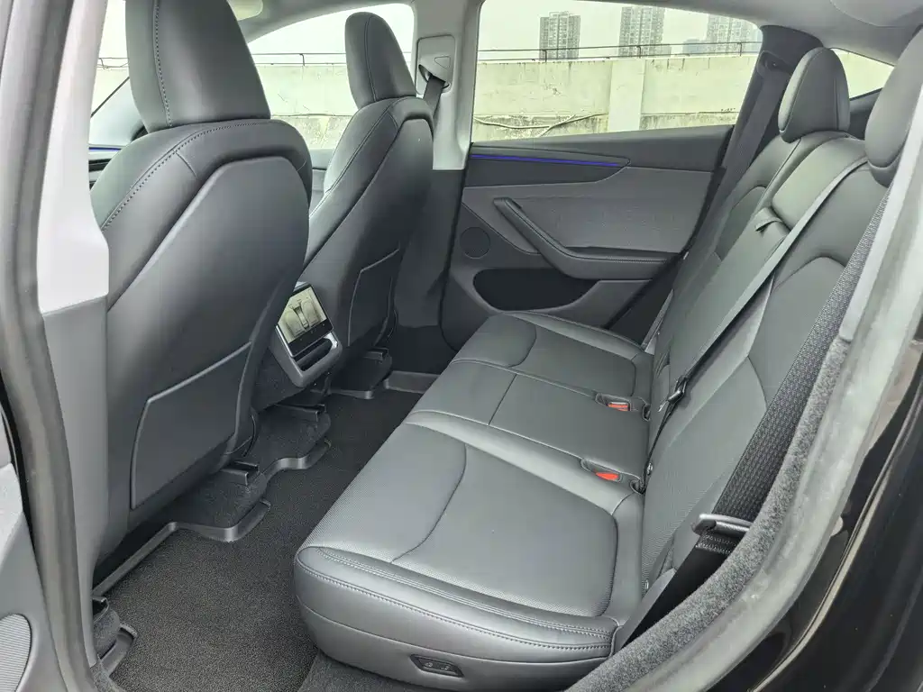 Tesla Model Y — миниатюра 13
