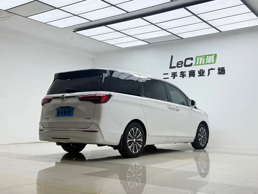 Buick GL8 — миниатюра 13