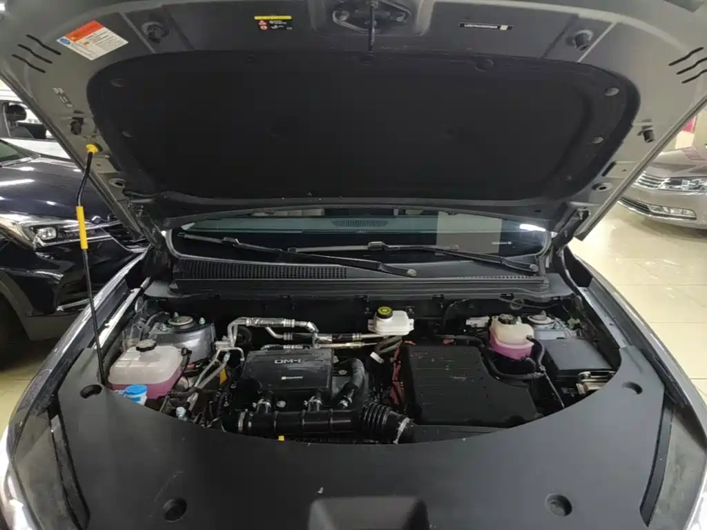 BYD Pro New Energy — миниатюра 20