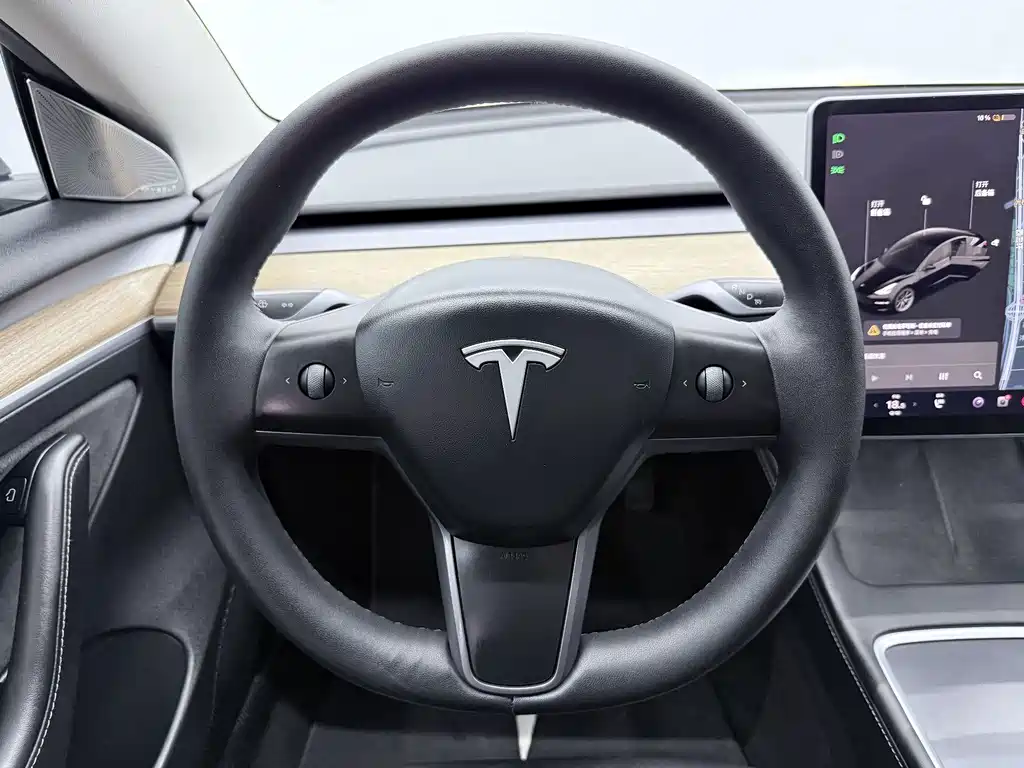 Tesla Model 3 — миниатюра 5
