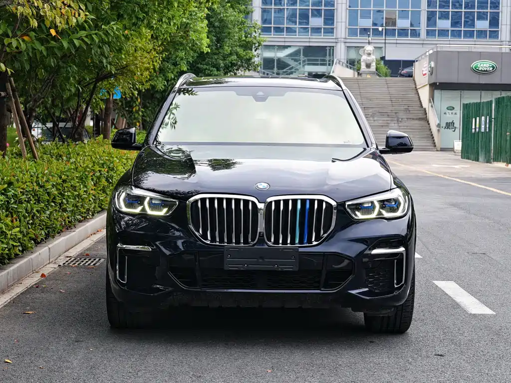 BMW X5 — миниатюра 2