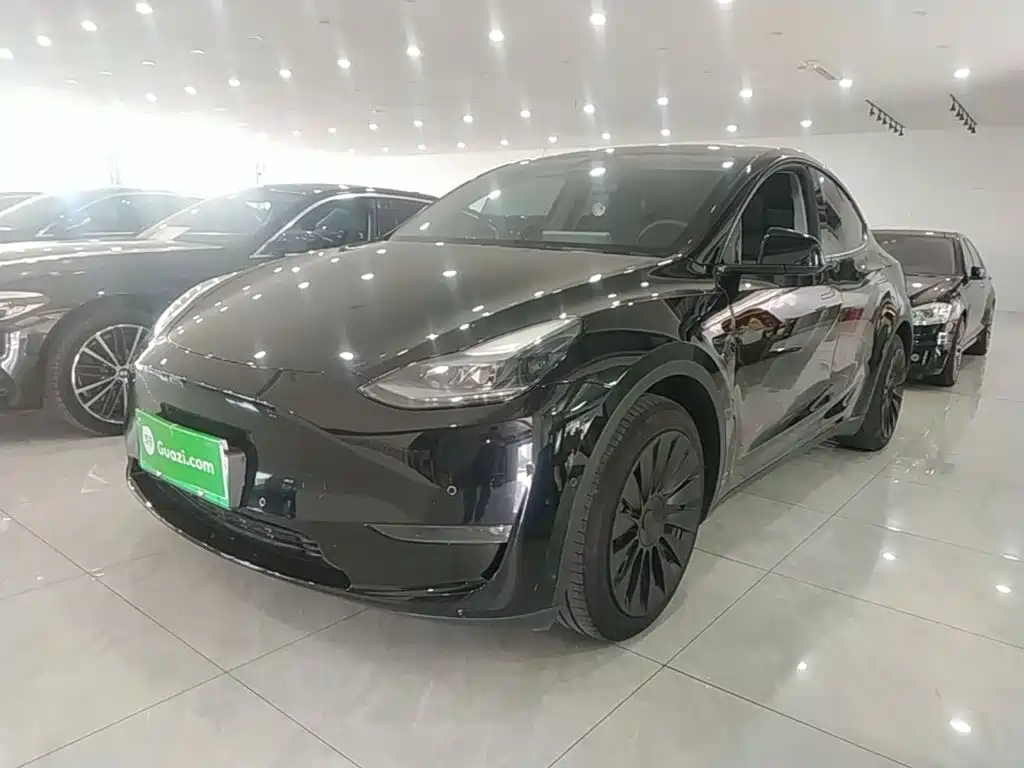 Tesla Model Y — миниатюра 2