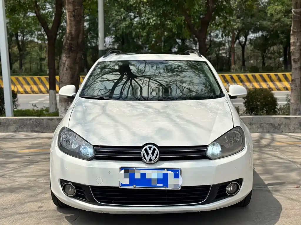 Volkswagen Golf (Import) 1.4TSI Luxury Touring Edition, фото 2