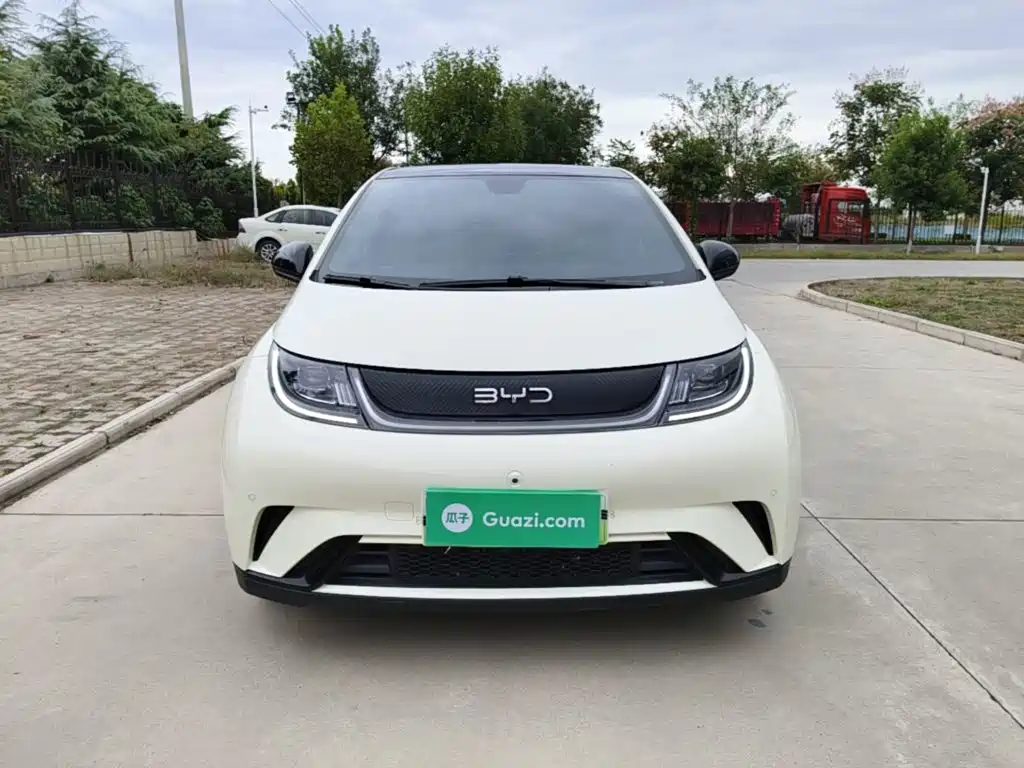 BYD Dolphin — миниатюра 3