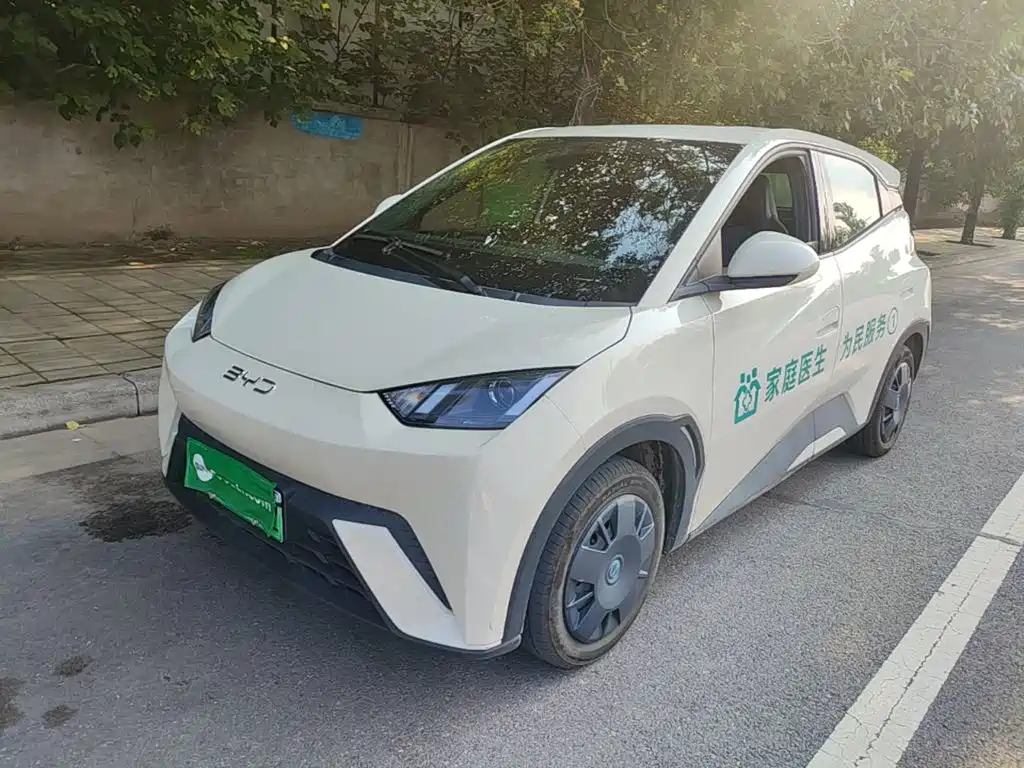 BYD Seagull