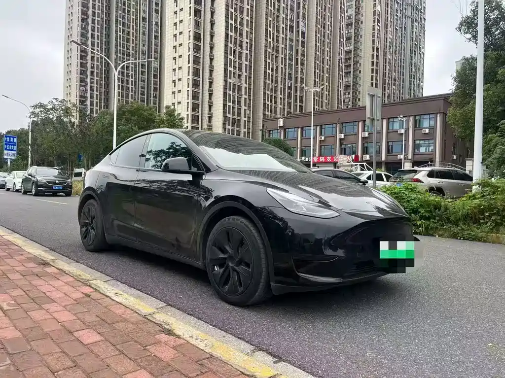 Tesla Model Y — миниатюра 3