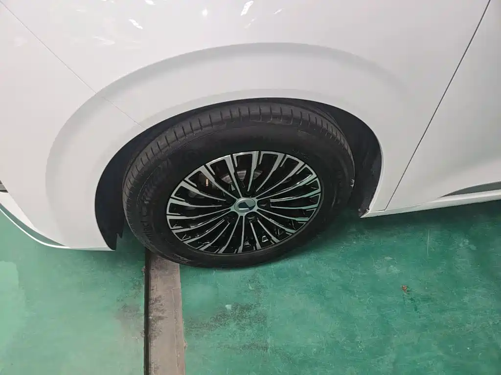 Denza Denza D9 — миниатюра 22