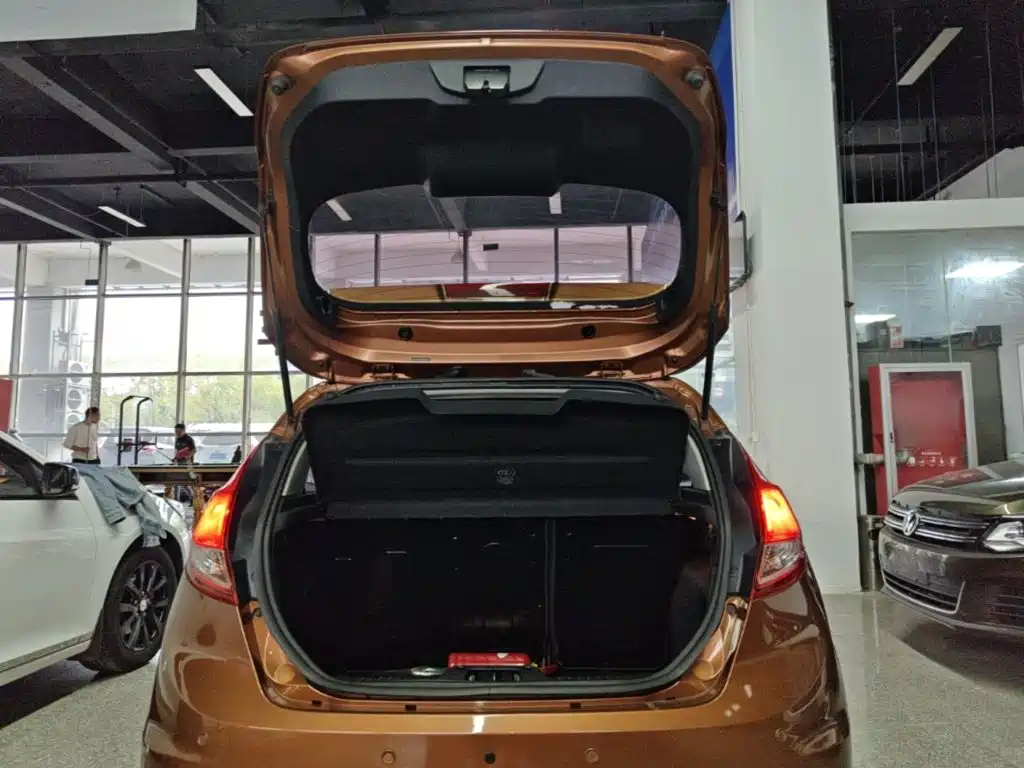 Ford Fiesta — миниатюра 19
