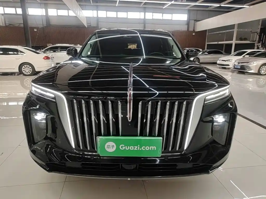 Hongqi Hongqi E-HS9 — миниатюра 3