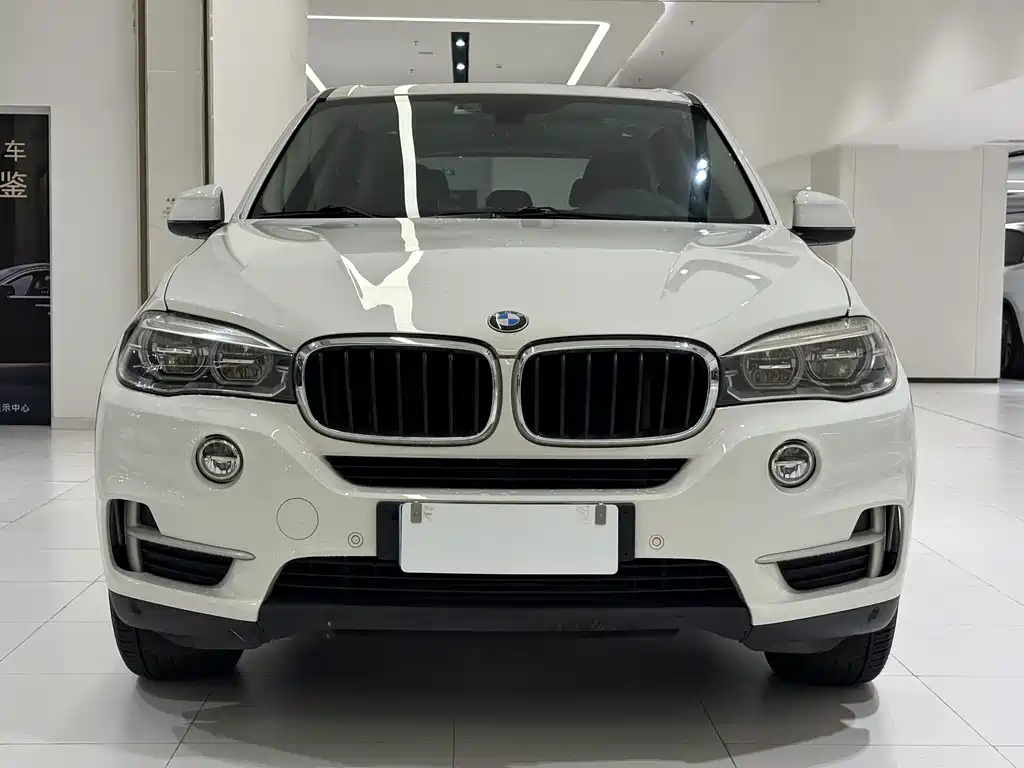 BMW X5 (Import) — миниатюра 2