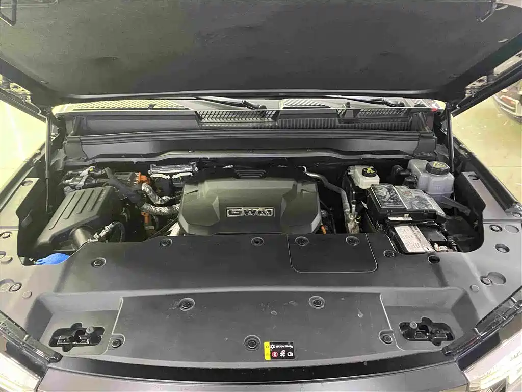 Tank Tank 400 New Energy — миниатюра 13