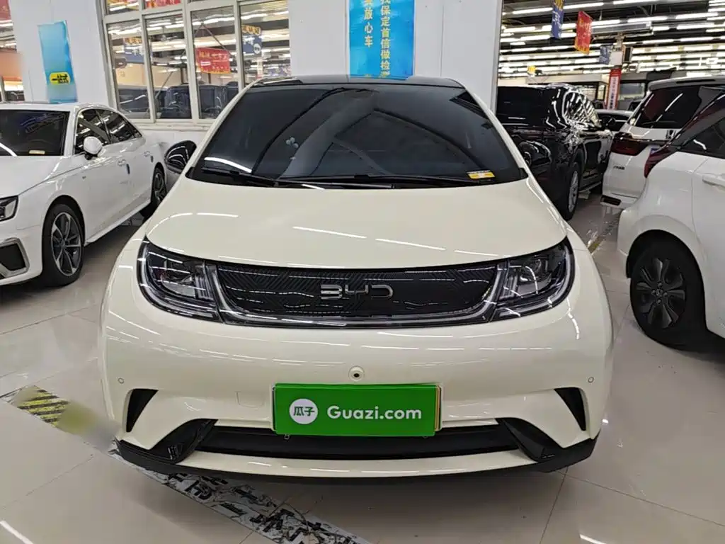 BYD Dolphin — миниатюра 3