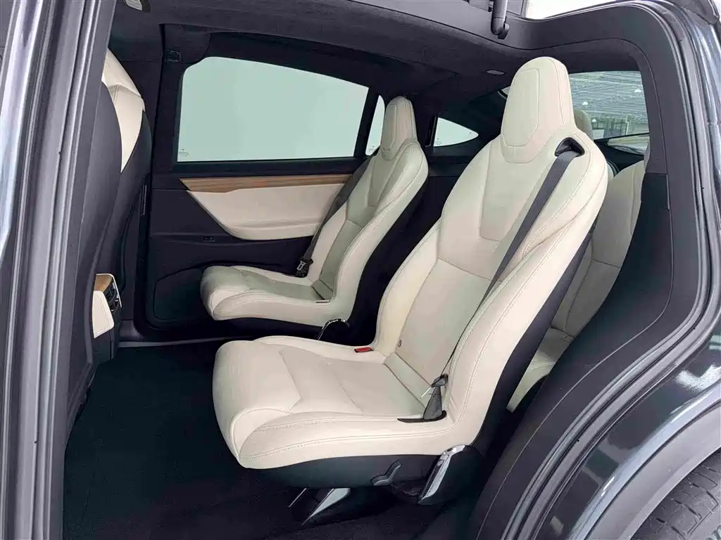 Tesla Model X — миниатюра 5