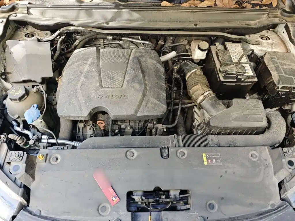 Haval Chitu — миниатюра 16