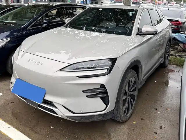 BYD SONGJIANG NEW ENERGY 2024