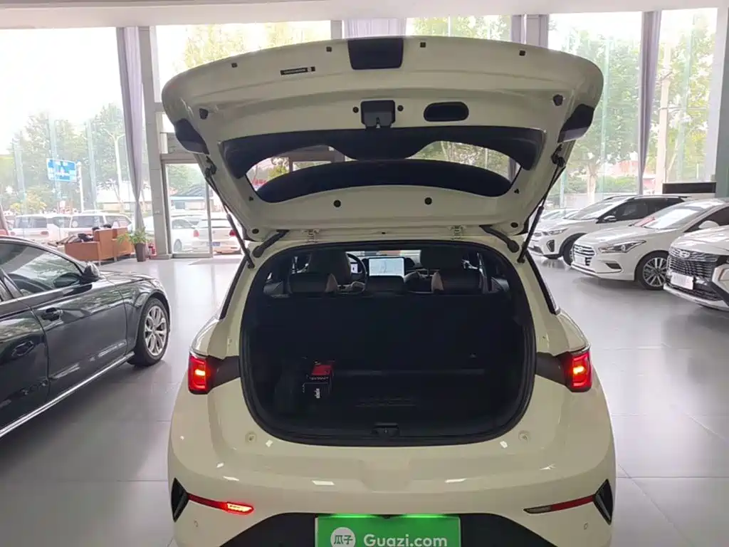 BYD Dolphin — миниатюра 19