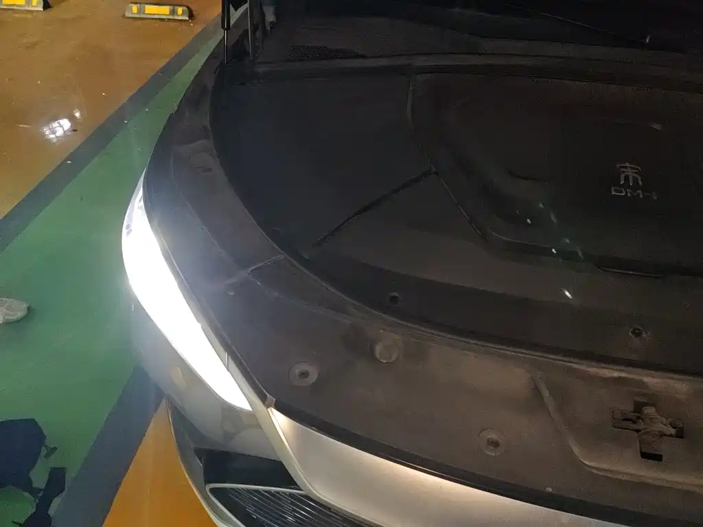 BYD PLUS New Energy — миниатюра 21