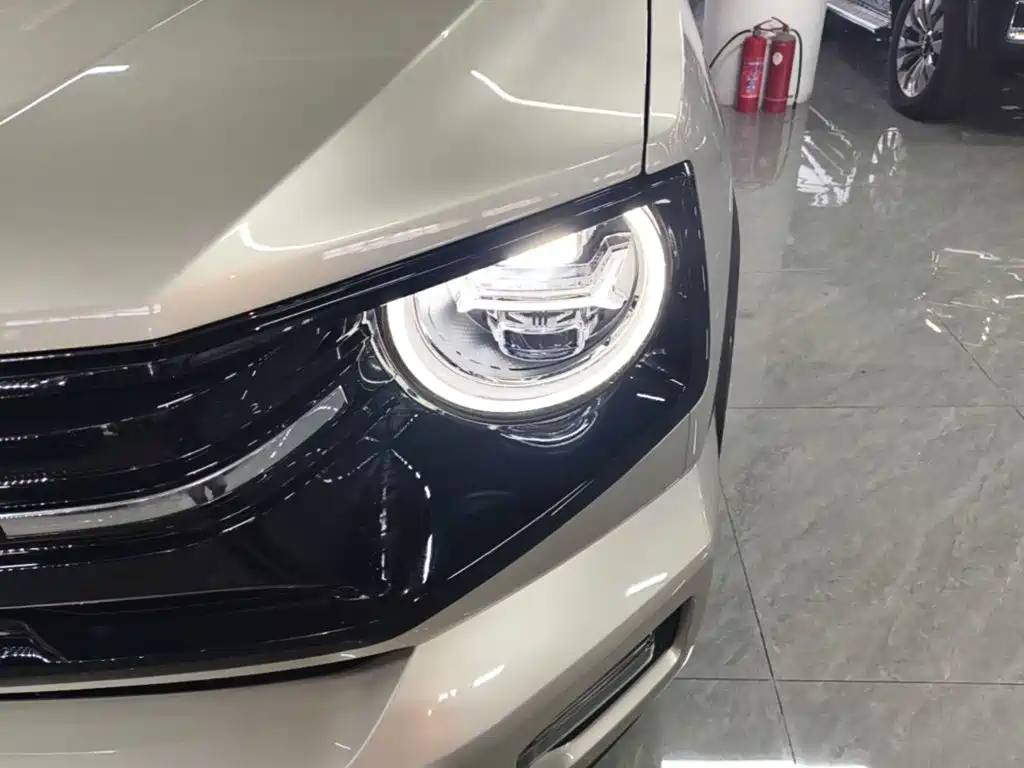 Haval Big Dog PLUS — миниатюра 24