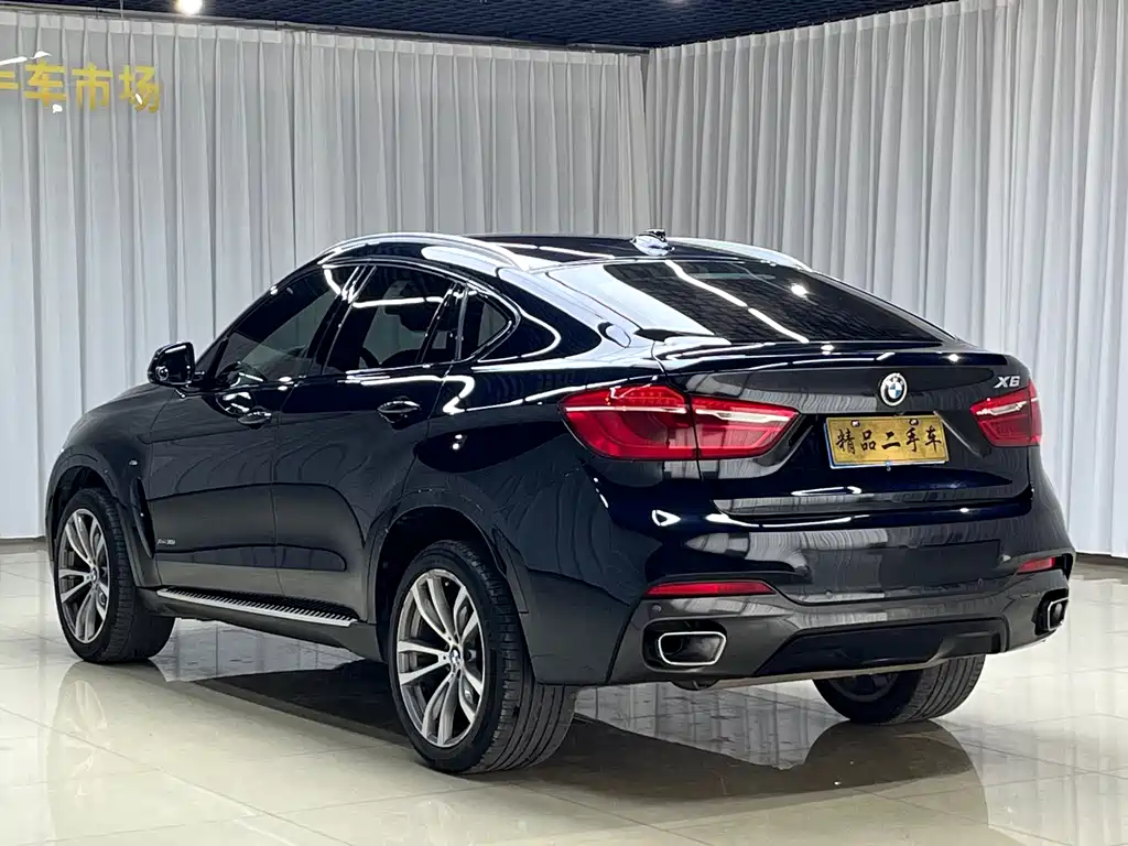 BMW X6 — миниатюра 6
