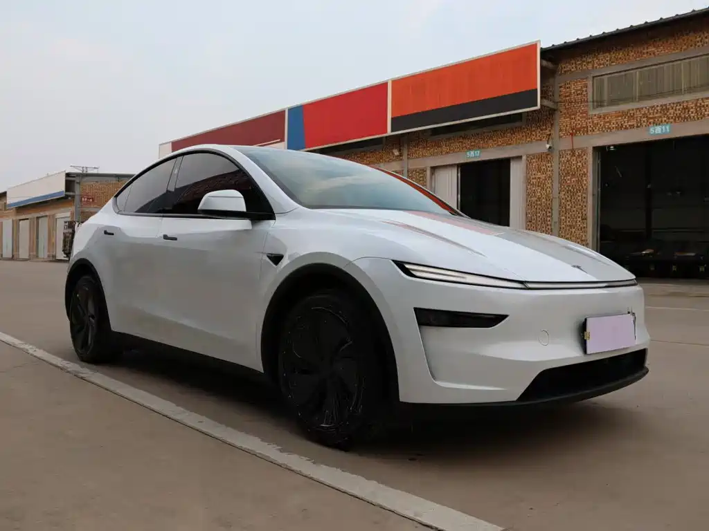 Tesla Model Y — миниатюра 3