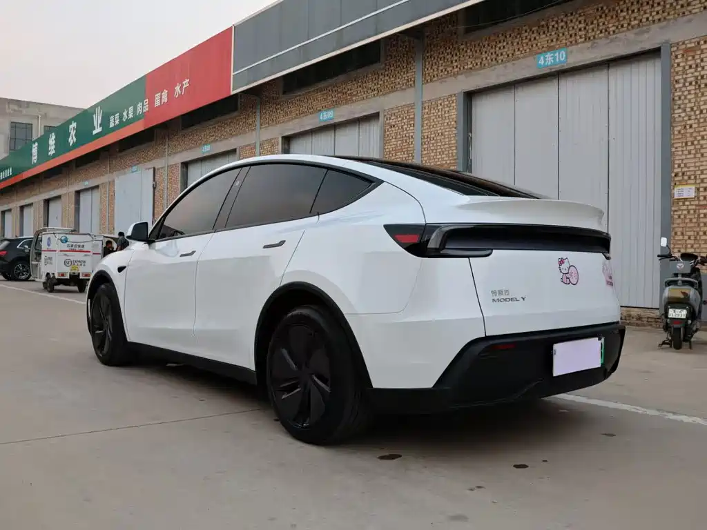 Tesla Model Y — миниатюра 14