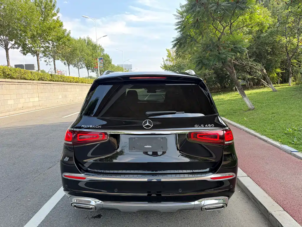 Mercedes-Benz GLS — миниатюра 5