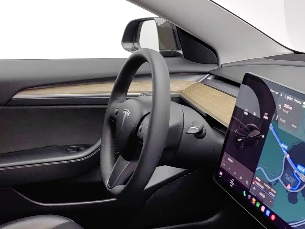 Tesla Model 3 — миниатюра 22