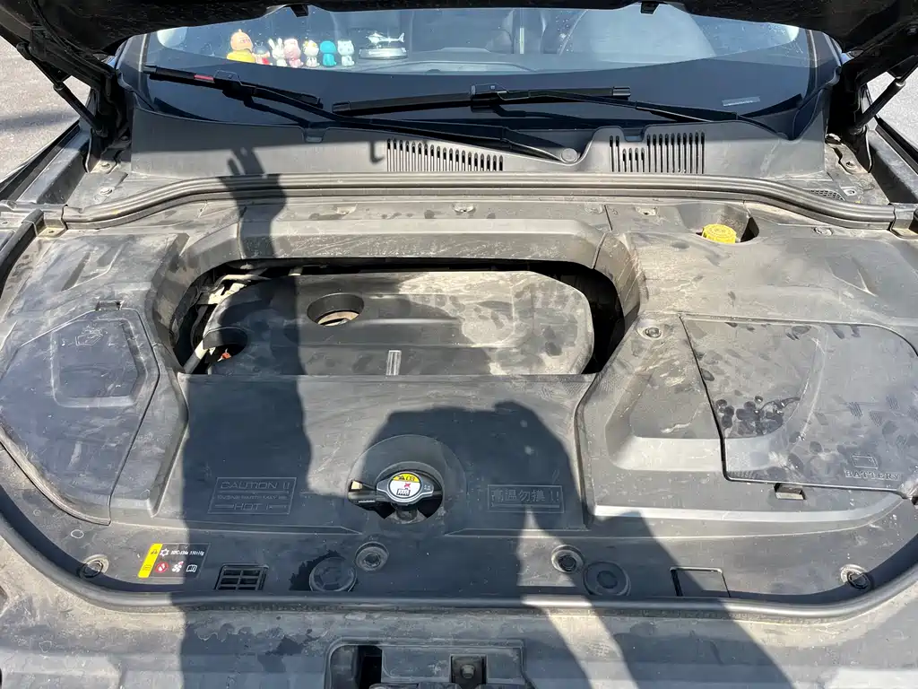 WEI PAI WEI BRAND VV5