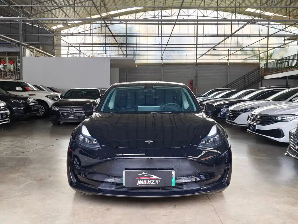 Tesla Model 3 — миниатюра 2