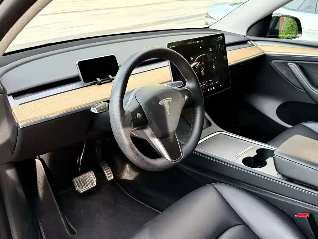 Tesla Model Y — миниатюра 10