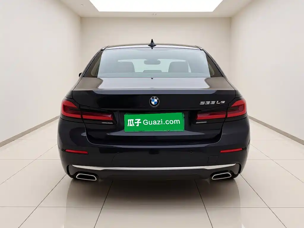 BMW 5 Series New Energy — миниатюра 5