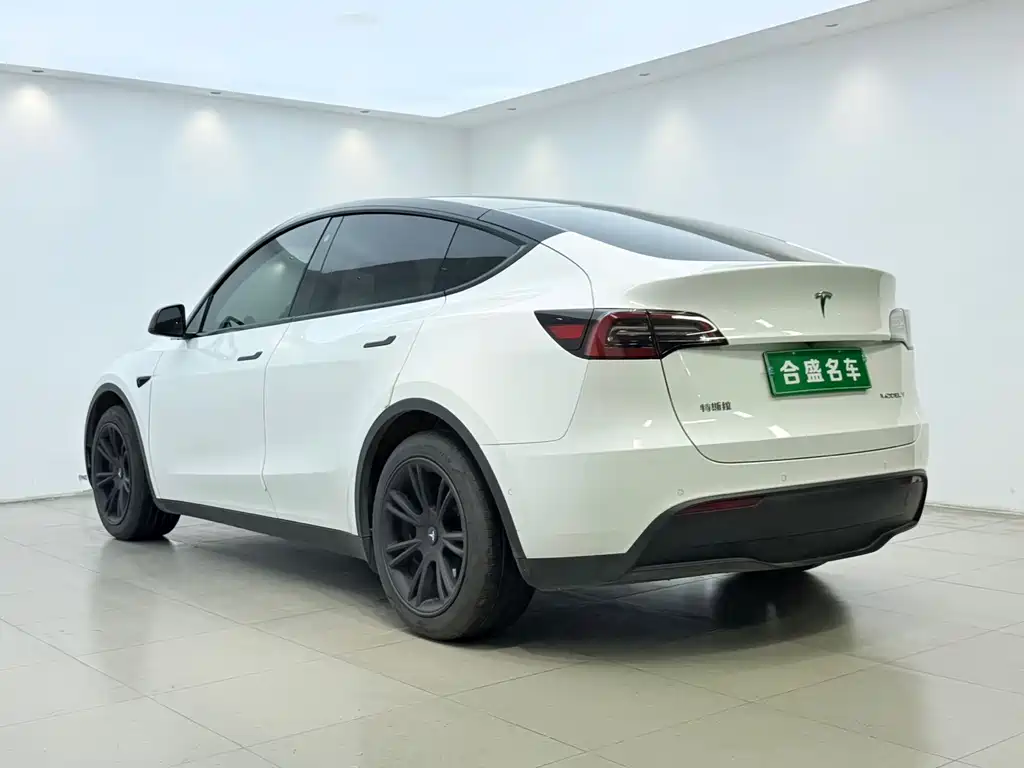 Tesla Model Y — миниатюра 12