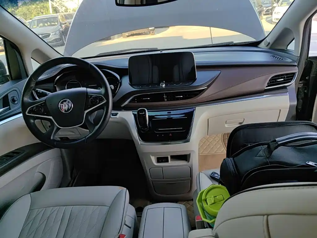 Buick GL8 — миниатюра 10