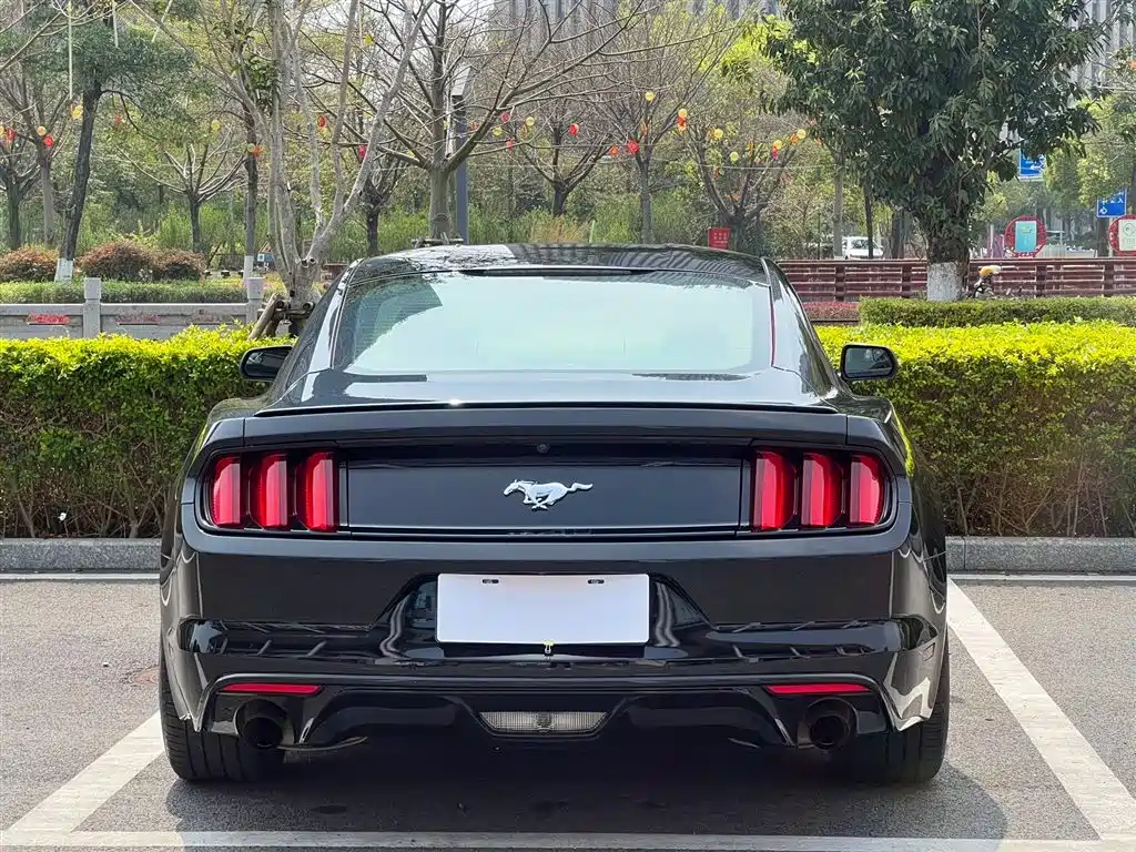 Ford Mustang 2015 2.3T 50