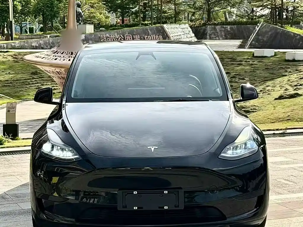 Tesla Model Y — миниатюра 6