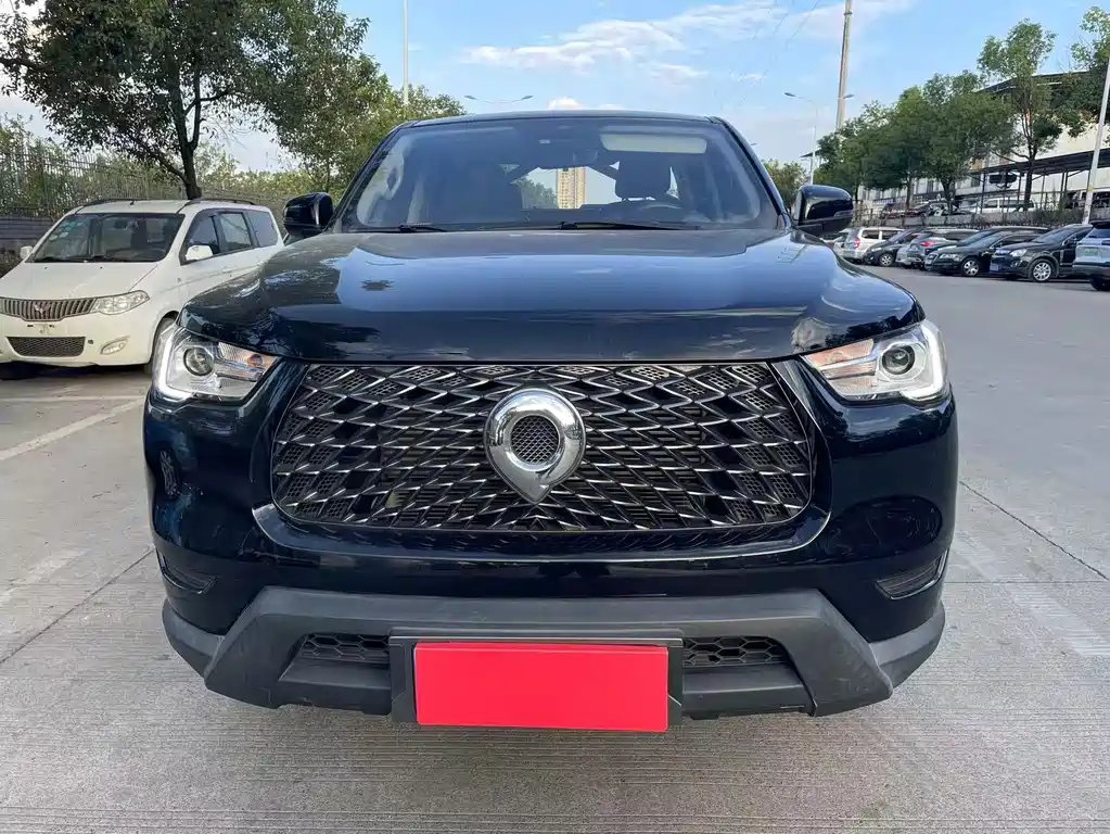 Great Wall Pao — миниатюра 2