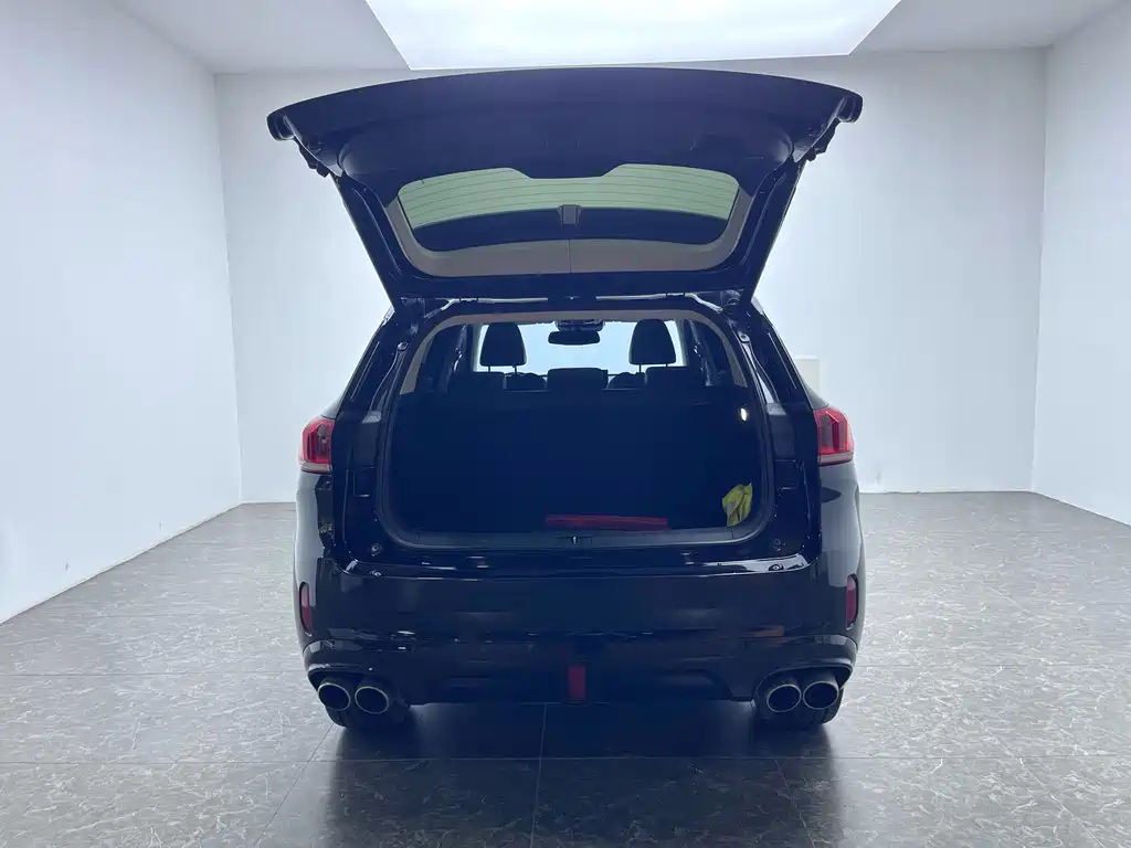 WEI PAI WEI BRAND VV6