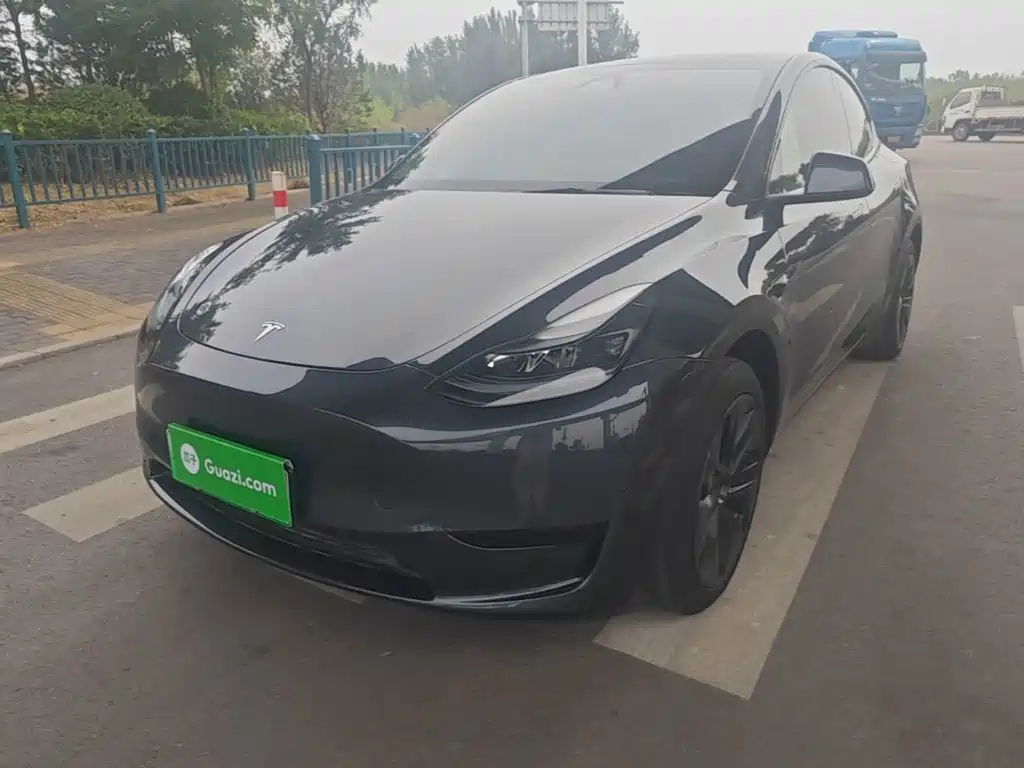 Tesla Model Y — миниатюра 2