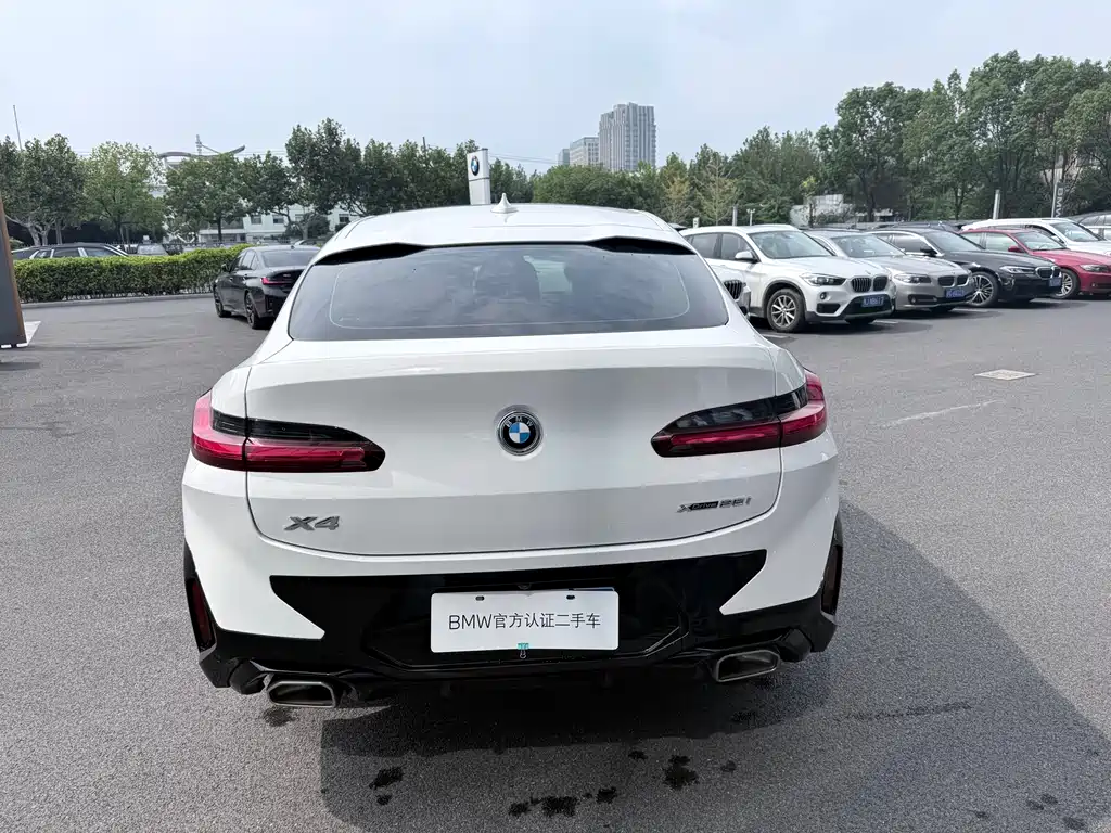 BMW X4 — миниатюра 11
